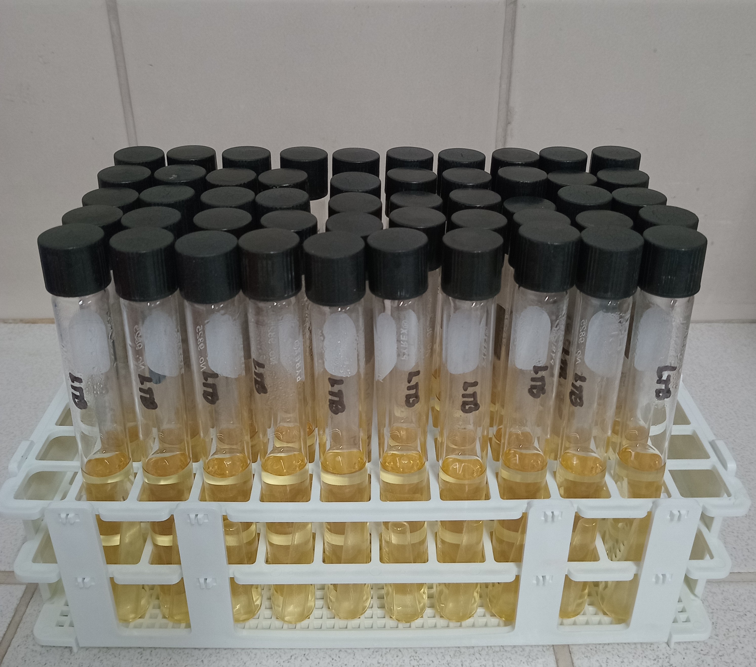 Laboratory Testing